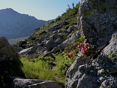 Un lungo traverso ci porterà alle rampe che salgono al Passo di Basagrana (mt.2070)